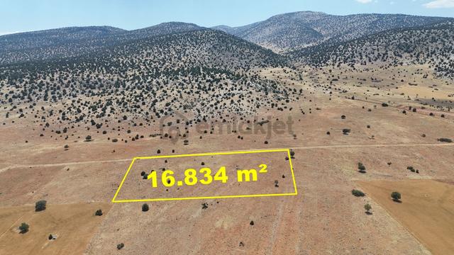 Akören Ağalar Mahalesinde 16.834 M² Tek Tapulu Meraya Cephe Arazi 3