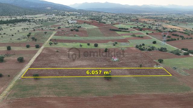 Konya / Akören Merkezde 6.057 M² Müstakil Tarla Fırsatı 2