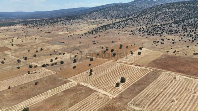 Konya / Akören / Ağalar'da Arka Cephesi Meraya Cephe 10.285 M² Tarım Arazisi 2