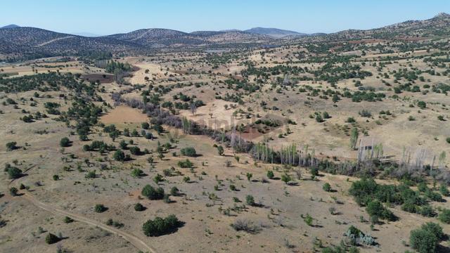 Konya / Güneysınır / Örenboyalı Mahallesinde 1.093 M² Müstakil Tapulu Bağ 3