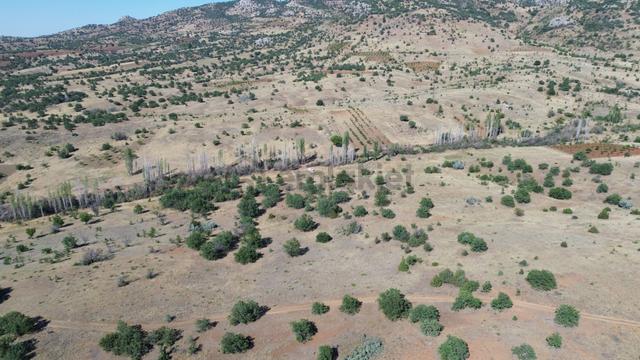 Konya / Güneysınır / Örenboyalı Mahallesinde 475 M² Müstakil Tapulu Tarla 2