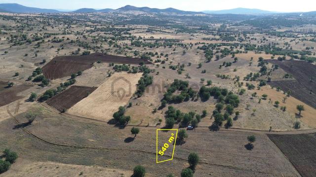 Konya / Güneysınır / Örenboyalı Mahallesinde 540 M² Müstakil Tapulu Tarla 4