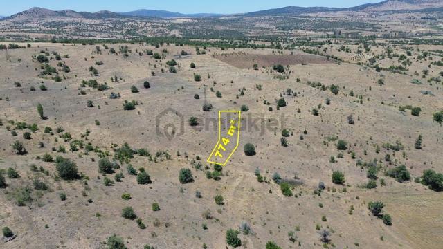 Konya / Güneysınır / Mehmetali Mahallesinde 774 M² Müstakil Tapulu Bağ 5
