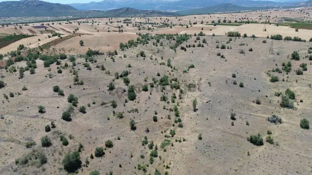 Konya / Güneysınır / Mehmetali Mahallesinde 774 M² Müstakil Tapulu Bağ 2