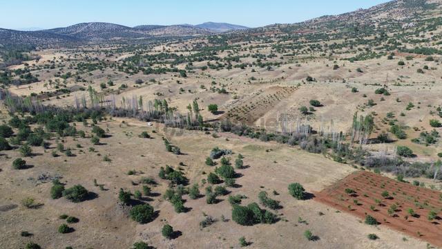 Konya / Güneysınır / Örenboyalı Mahallesinde 1.336 M² Müstakil Tapulu Tarla 4