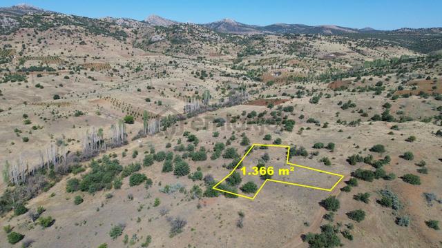 Konya / Güneysınır / Örenboyalı Mahallesinde 1.336 M² Müstakil Tapulu Tarla 2