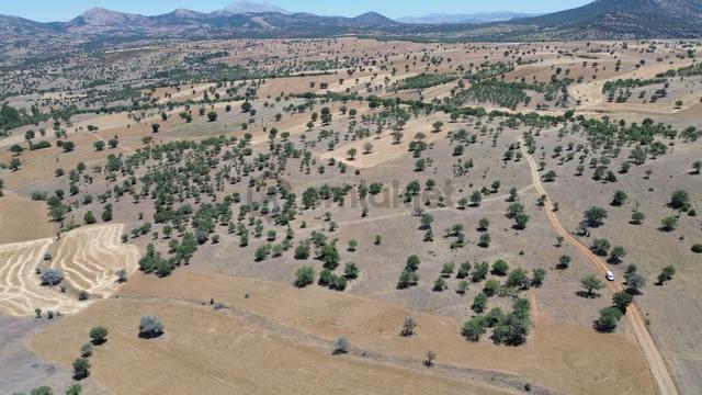 Konya / Güneysınır / Mehmetali Mahallesinde 496 M² Müstakil Tapulu Tarla 2