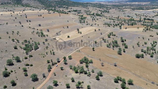 Konya / Güneysınır / Mehmetali Mahallesinde 496 M² Müstakil Tapulu Tarla 3