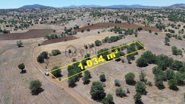 Konya / Güneysınır / Mehmetali Mahallesinde 1.034 M² Müstakil Tapulu Tarla 3