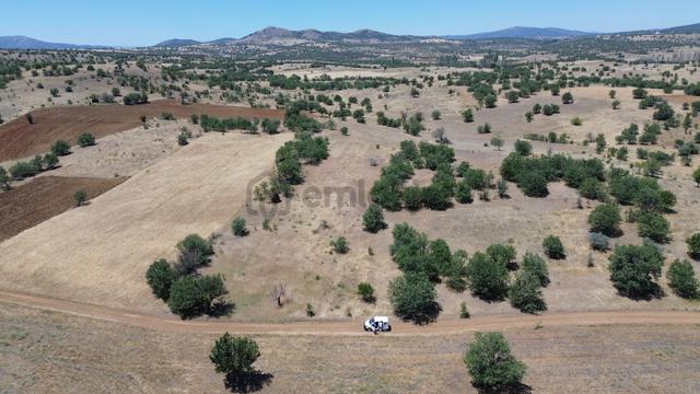 Konya / Güneysınır / Mehmetali Mahallesinde 1.034 M² Müstakil Tapulu Tarla 5