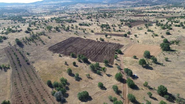 Konya / Güneysınır / Mehmetali Mahallesinde 934 M² Müstakil Tapulu Tarla 2