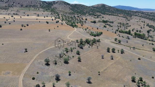 Konya / Güneysınır / Mehmetali Mahallesinde 993 M² Müstakil Tapulu Tarla 2