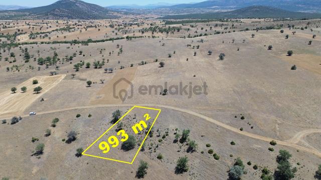 Konya / Güneysınır / Mehmetali Mahallesinde 993 M² Müstakil Tapulu Tarla 1