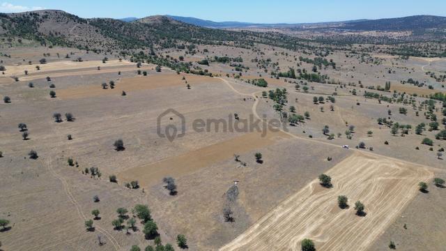 Konya / Güneysınır / Mehmetali Mahallesinde 1.620 M² Müstakil Tapulu Tarla 4