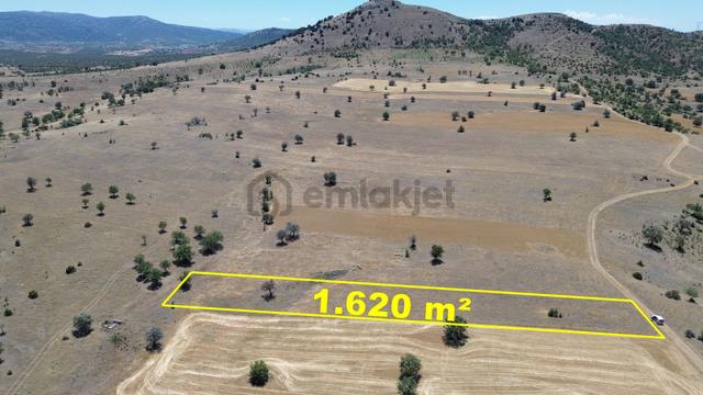 Konya / Güneysınır / Mehmetali Mahallesinde 1.620 M² Müstakil Tapulu Tarla 5