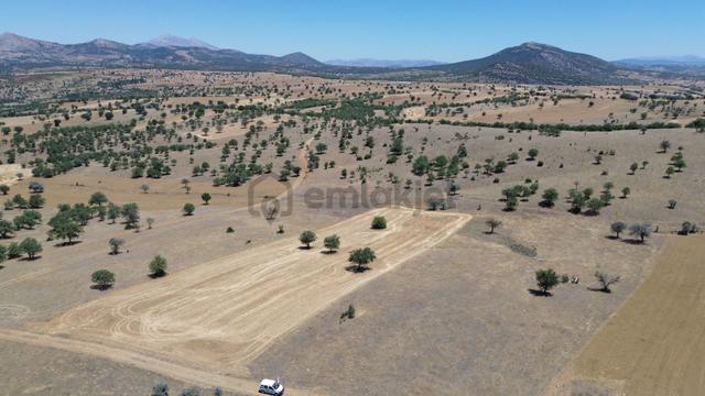 Konya / Güneysınır / Mehmetali Mahallesinde 1.620 M² Müstakil Tapulu Tarla 3
