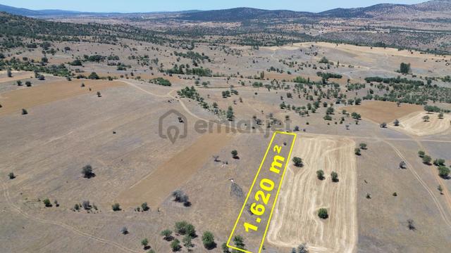 Konya / Güneysınır / Mehmetali Mahallesinde 1.620 M² Müstakil Tapulu Tarla 1