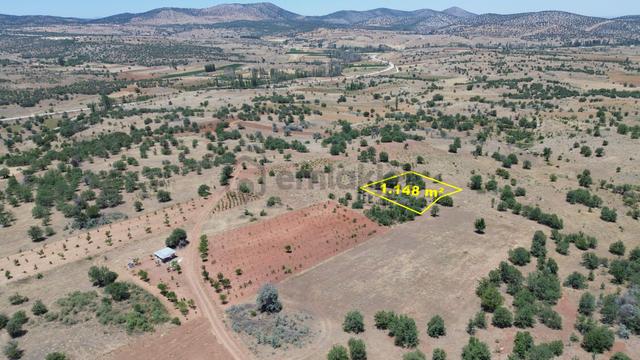 Konya / Güneysınır / Mehmetali Mahallesinde 1.148 M² Müstakil Tapulu Tarla 5