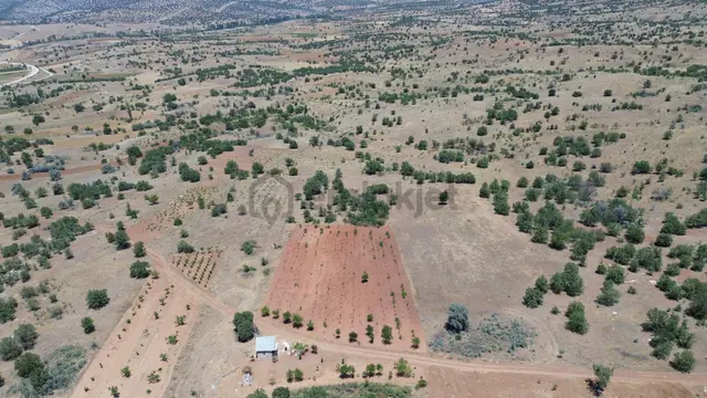Konya / Güneysınır / Mehmetali Mahallesinde 1.148 M² Müstakil Tapulu Tarla 4