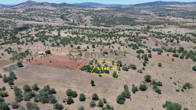 Konya / Güneysınır / Mehmetali Mahallesinde 1.148 M² Müstakil Tapulu Tarla 3