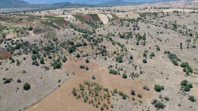 Konya / Güneysınır / Mehmetali Mahallesinde 183 M² Müstakil Tapulu Tarla 5