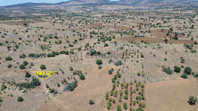 Konya / Güneysınır / Mehmetali Mahallesinde 183 M² Müstakil Tapulu Tarla 1
