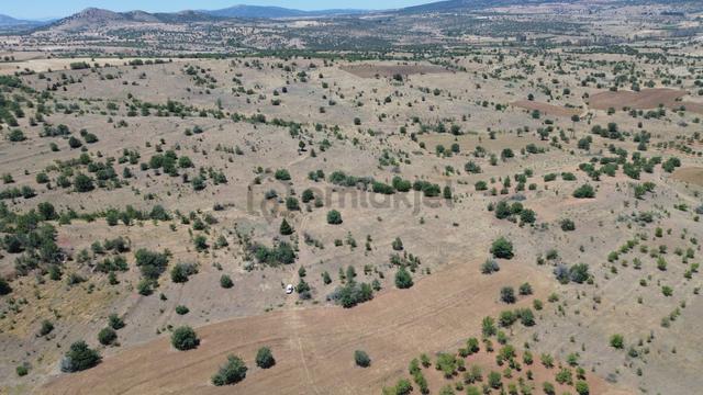 Konya / Güneysınır / Mehmetali Mahallesinde 183 M² Müstakil Tapulu Tarla 2
