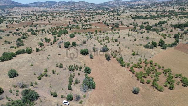 Konya / Güneysınır / Mehmetali Mahallesinde 183 M² Müstakil Tapulu Tarla 3