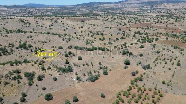 Konya / Güneysınır / Mehmetali Mahallesinde 707 M² Müstakil Tapulu Tarla 3
