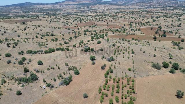 Konya / Güneysınır / Mehmetali Mahallesinde 707 M² Müstakil Tapulu Tarla 5