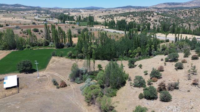 Konya / Güneysınır / Örenboyalı Mahallesinde 1.190 M² Müstakil Tapulu Kavaklık 4