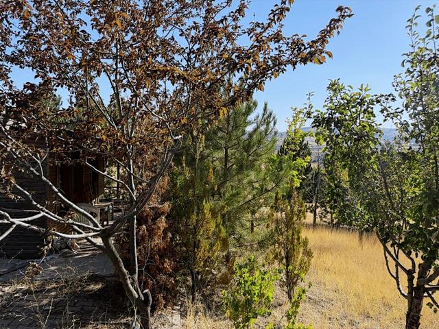 Yaka Müstakil Evli 770 M İmarlı Arsa Elektrik Su Var 5