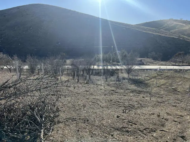Yaka Asfalta Cephe Anayol Kenarı Tapulu 400 M2 Bahçe 3