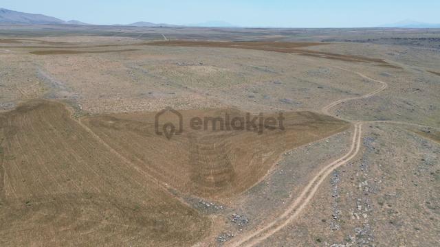 Konya Akören Orhaniye Mahallesinde 6.227 M² Müstakil Tapulu Tarla 4