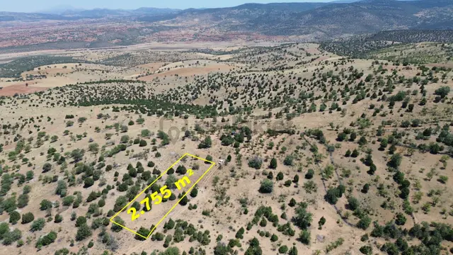Konya / Akören / Alan Mahallesinde 2.755 M² Müstakil Tapulu Tarla 5