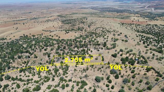 Konya / Akören / Alan Mahallesinde 2.755 M² Müstakil Tapulu Tarla 1