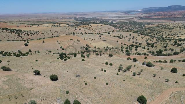 Konya / Akören / Belkuyu Mahallesinde 4.134 M² Müstakil Tapulu Tarla 5