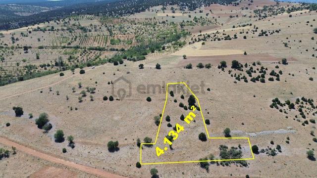 Konya / Akören / Belkuyu Mahallesinde 4.134 M² Müstakil Tapulu Tarla 1