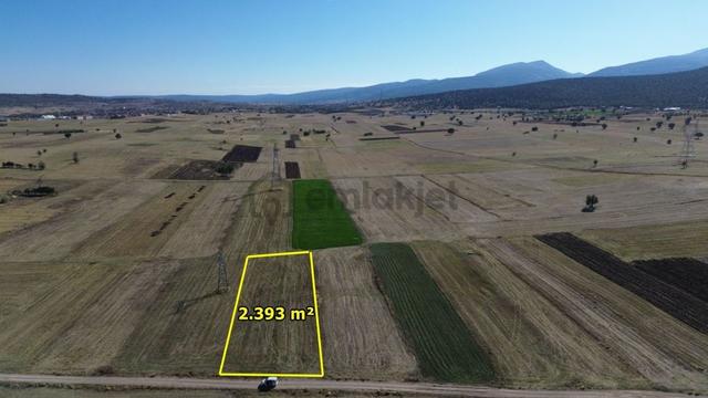 Akören Tülce De 2.393 M2 Müstakil Tapulu Arazi 5