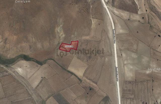 Seyitgazi Örencik'te Yatırımlık Fırsat! 4.474 M² Müstakil Parsel 2