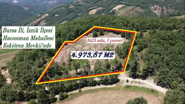 İznik Hacıosman'da Fırsat/ 4.973m² Yol Ve Orman Cepheli Tarla 3