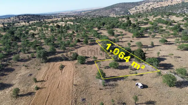 Konya / Güneysınır / Kurukavak Mahallesinde 1.064 M² Müstakil Tapulu Tarla 1