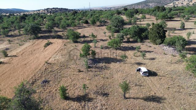 Konya / Güneysınır / Kurukavak Mahallesinde 1.064 M² Müstakil Tapulu Tarla 5