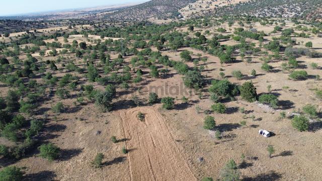 Konya / Güneysınır / Kurukavak Mahallesinde 1.064 M² Müstakil Tapulu Tarla 3
