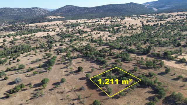 Konya / Güneysınır / Kurukavak Mahallesinde 1.211 M² Müstakil Tapulu Tarla 3