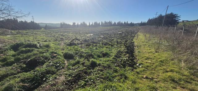 Çatalca Çakıl'da Çok İyi Konumda Dörtlü Yol Kavşağında 18.676m² Satılık Arazi 3