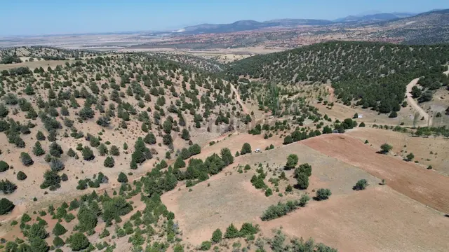 Konya / Akören / Belkuyu 2.635 M² Çamlıdere Ormanında Müstakil Tarla 5