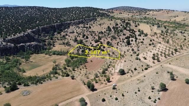 Akören / Belkuyu 3.367 M² Arkası Ormanlık Tek Tapu Bahçe 3