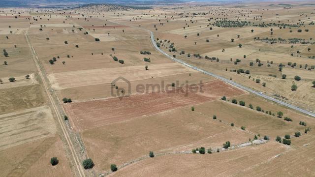 Çumra Apasaraycık Da 10.560 M2 Müstakil Tapulu Tarla 2