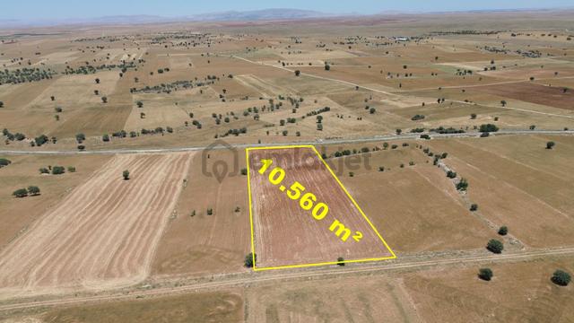 Çumra Apasaraycık Da 10.560 M2 Müstakil Tapulu Tarla 4